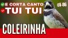 COLEIRINHA TUI TUI E CORTA CANTO #Cli86