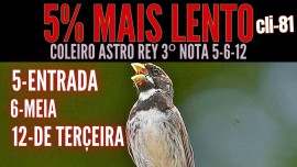 COLEIRO ASTRO REY 3 NOTA 5-6-13 5% MAIS LENTO