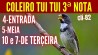 COLEIRO TUI TUI 3 NOTA 4 ENTRADA 5 MEIO E 10 E 7 DE TERCEIRA #Cli82