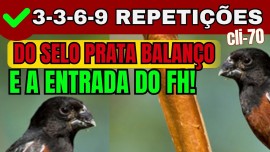 Curi- COM 3-3-6-9 REPETIES do SELO PRATA BALANO e a ENTRADA do selo FH