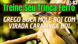 Treine Seu Trinca Ferro com TRINCA FERRO CANTO GREGO BOCA MOLE BOI COM VIRADA CARATINGA BOI